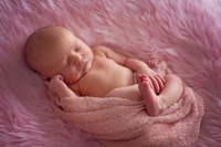 Camden Newborn