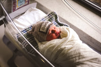 Bode Shaffer Fresh 48