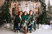 Winter Wonderland Minis 2025