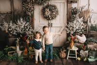 Spring Minis 2026